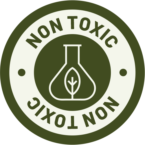 nt